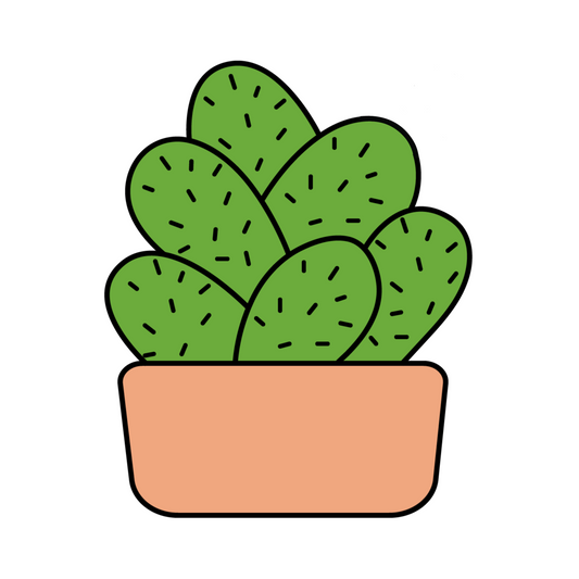 JBS0184 - Cactus